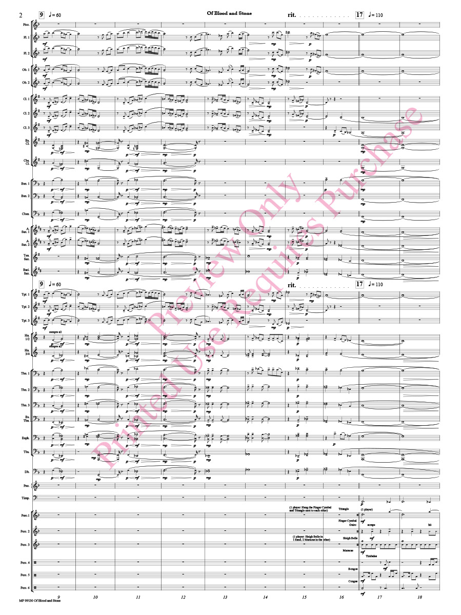 Of Blood and Stone Score pg 2